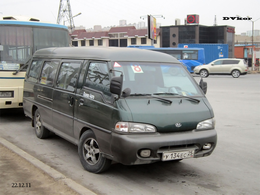 Hyundai Grace h100 1991