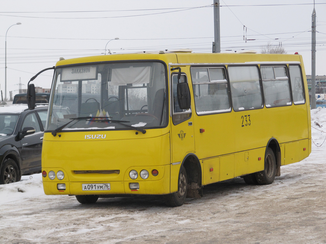 Yaroslavl region, ChA A09204 # 233