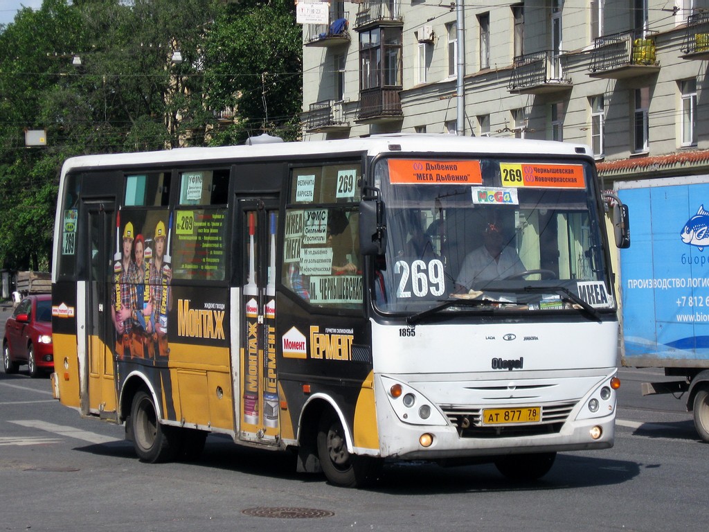 Ультрамарафон вокруг Санкт-Петербурга: подготовка, … Foto 17