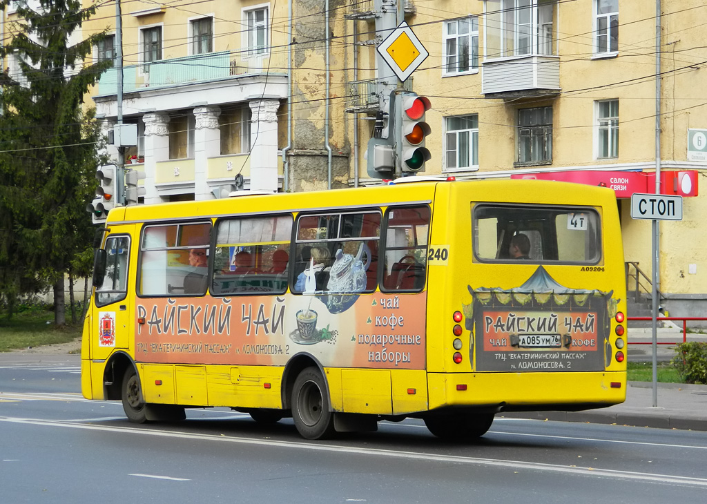 Yaroslavl region, ChA A09204 # 240
