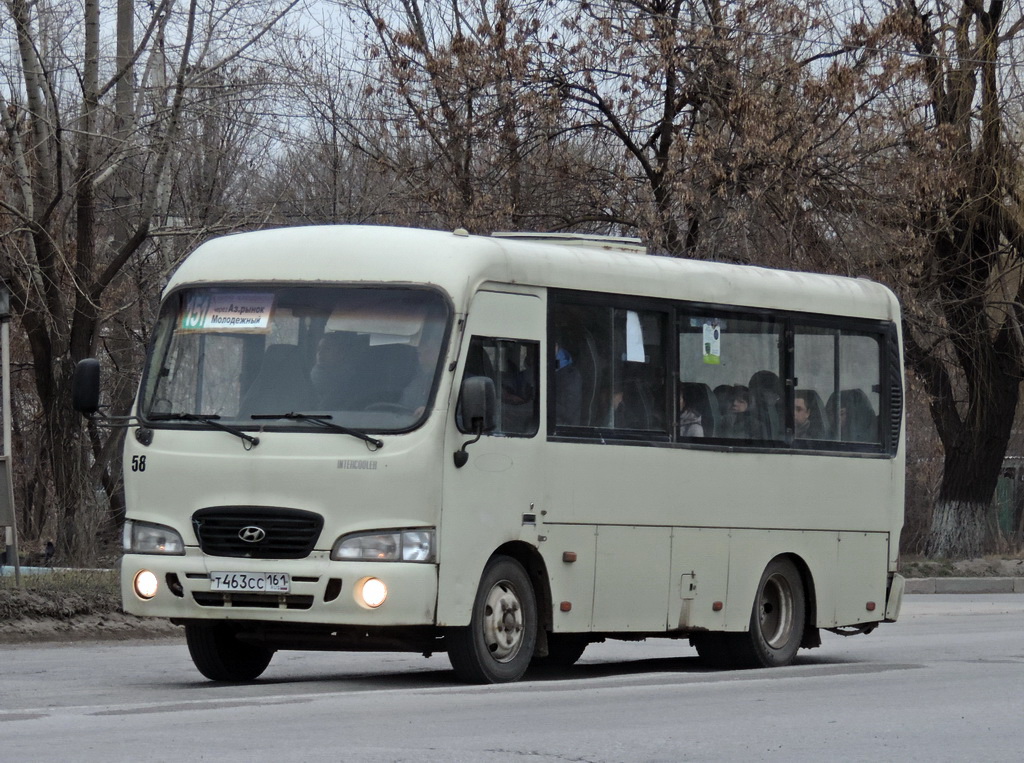 Rostov region, Hyundai County SWB C08 (RZGA) # Т 463 СС 161