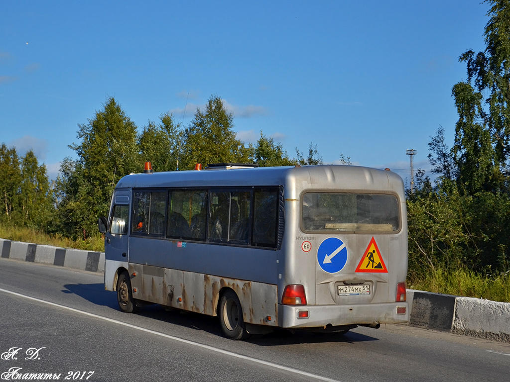 Murmansk region, Hyundai County (All TagAZ buses) # М 274 МХ 51