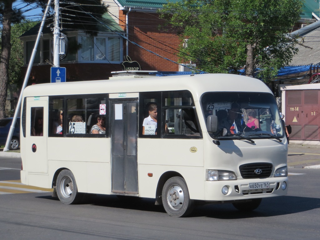 Krasnodar region, Hyundai County SWB C08 (RZGA) # А 650 УЕ 161