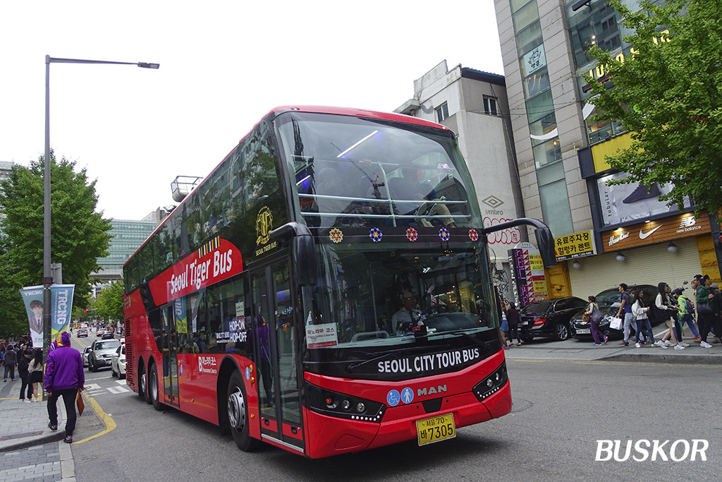 Korean bus