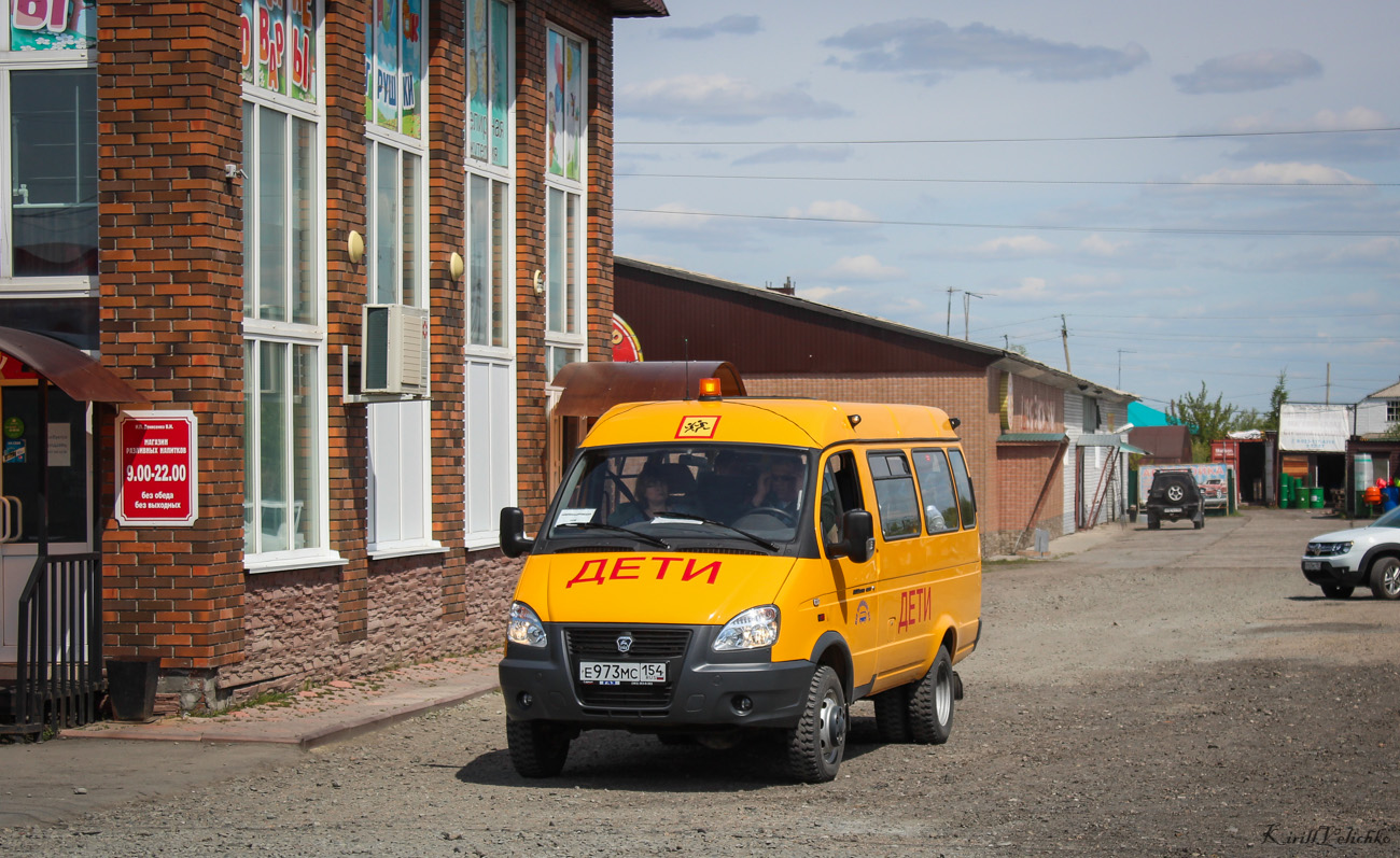 Novosibirsk region, GAZ-322171 (XTH, X96) # Е 973 МС 154
