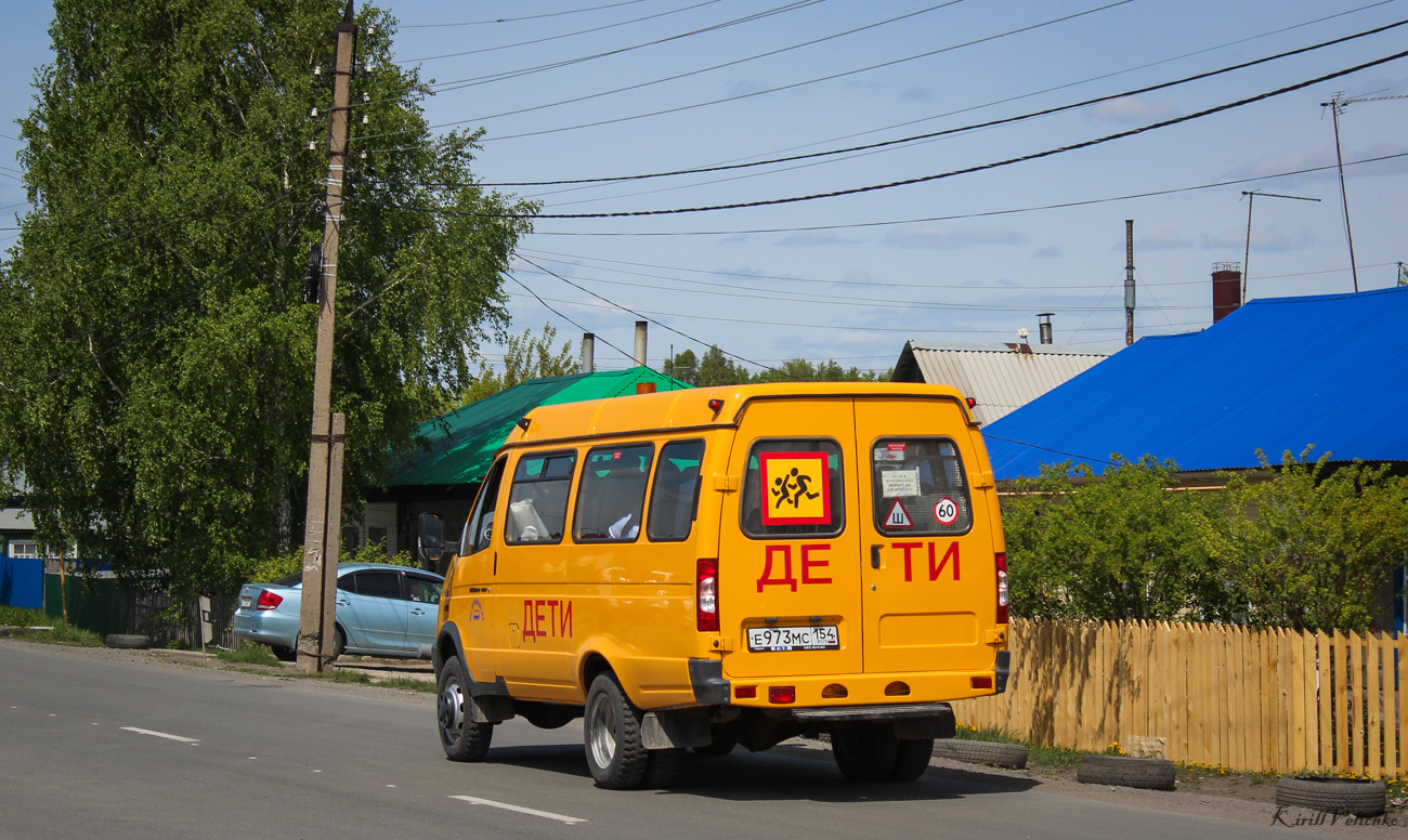 Novosibirsk region, GAZ-322171 (XTH, X96) # Е 973 МС 154