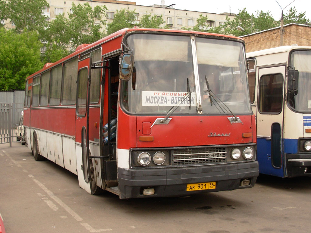 Автовокзал щелковский автобус москва