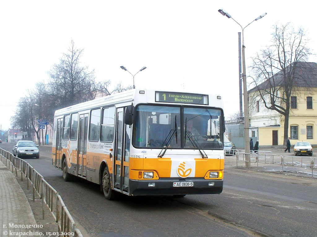 Автобусы молодечно. Автобус Молодечно. Минская область Молодечно автобус.