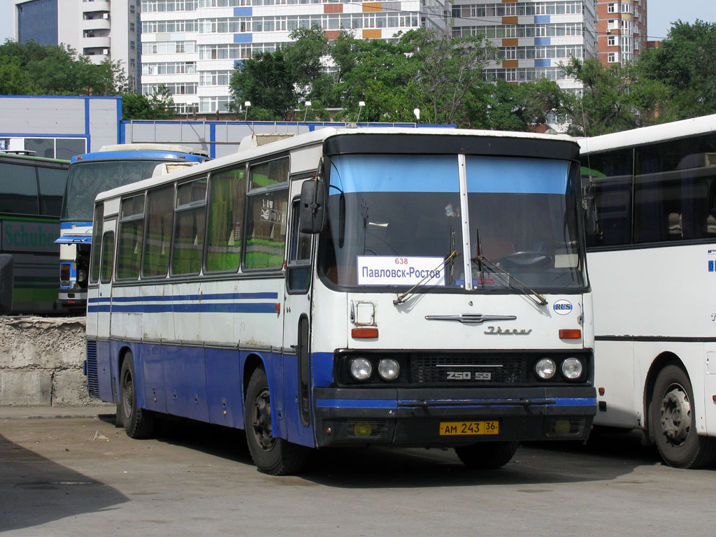 Автобусы воронеж павловск сегодня. Икарус 250.95. Икарус 250 Борисоглебск Павловск. Икарус 250 Воронеж Павловск. Автобус Икарус 250 Павловск Борисоглебск.