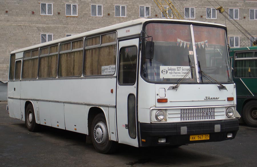 Автобус железногорск белгород. Ikarus 256 Белгород Железногорск. Икарус 256 автодом. Ikarus 256.51 № 122. Икарус Белгород Майский.