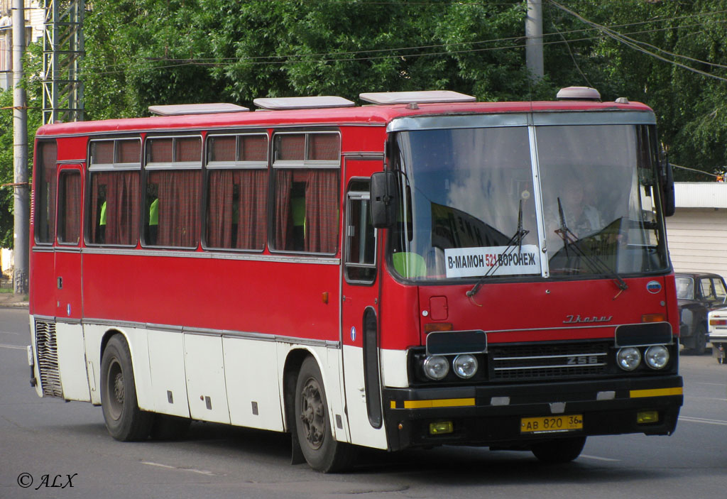 Москва верхний мамон автобус. Икарус 256 Воронеж. Икарус 521. У22 Икарус 256. Автобус Орел-Воронеж.