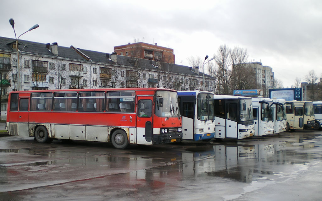 Автовокзал новгород. Старый автовокзал Великого Новгорода. Автобус Кириши Новгород. Автобус Кириши Великий Новгород. Автостанция Крестцы.