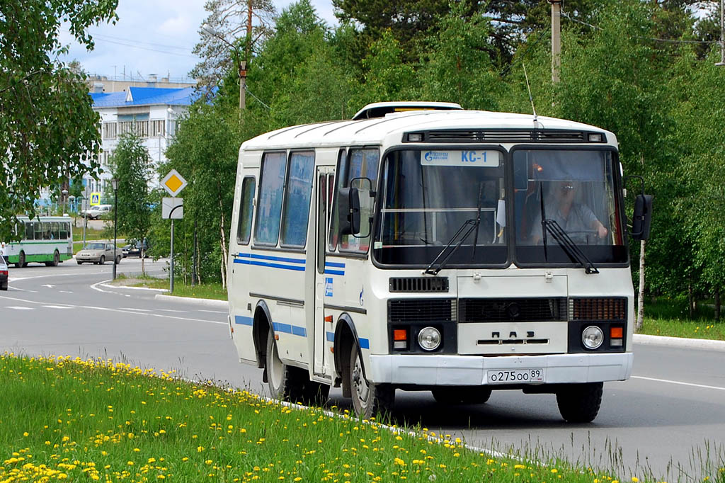 Фото двигателя паз 32053 сверху