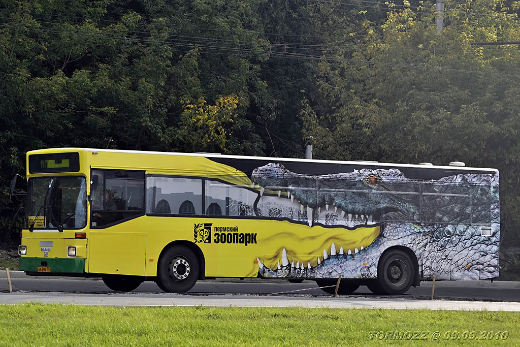 Автобус 17к пермь. Реклама на транспорте. Креативные автобусы. Реклама на автобусах. Рекламный автобус.