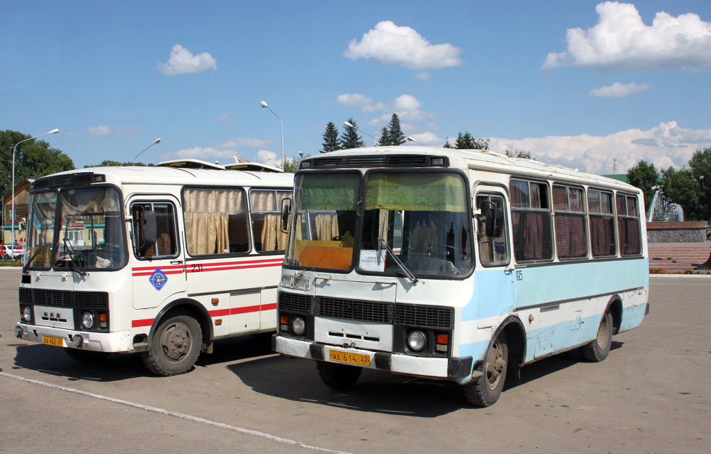 Автовокзал рубцовск. ПАЗ 231. Автостанция Рубцовск. ПАЗ Рубцовск 3205. Автокасса Рубцовск.