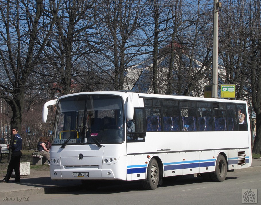 888 автобус расписание санкт петербург волосово. Автобус 888 СПБ Волосово. Автобус Волосово Санкт-Петербург 655. Санкт-Петербург Волосово автобус Автово 655. СПБ Волосово 655.