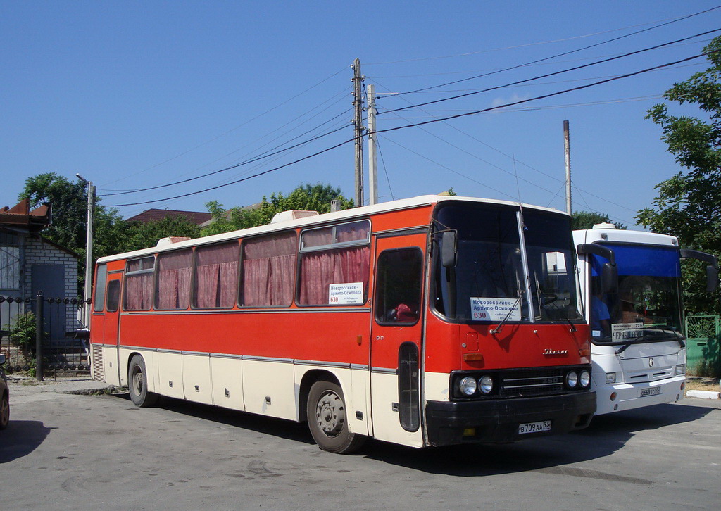 Армавир майкоп автобус. Икарус Новороссийск. Икарус 250.59 Новороссийск. Икарус 250.58 Краснодар. Икарус 250 в Сочи.