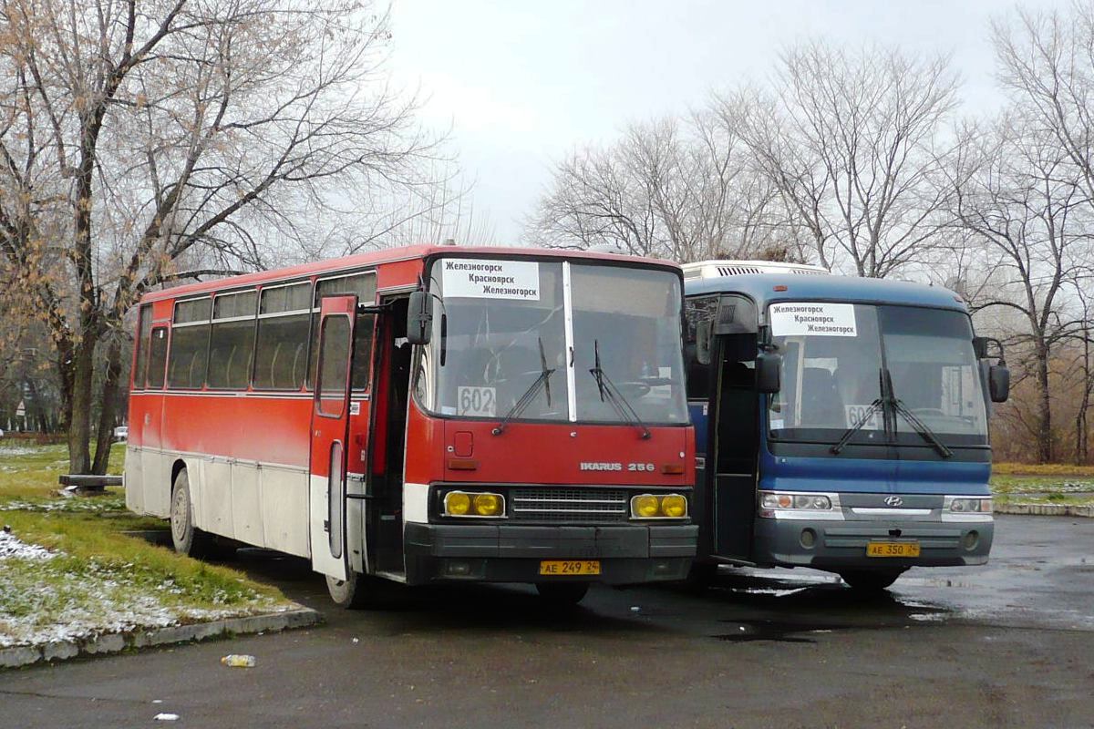 Маршрут железногорск. Ikarus 256 Железногорск. Ikarus 256 Белгород Железногорск. Икарус 256 Красноярский край. Автобусы Железногорск Красноярский.