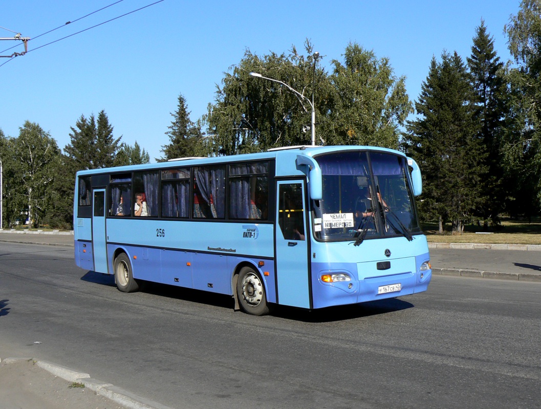 Кемерово горно алтайск автобус. Алтайский край КАВЗ 4238. Автобус КАВЗ 4238. Автобус Барнаул Чемал. Кемерово Чемал автобус.