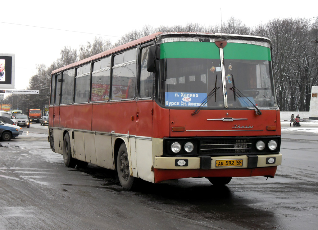 Льговский поворот. Икарус 256.51. Икарус 256.51 Курск. Курский автобус Икарус. Ikarus 256 Курская область.