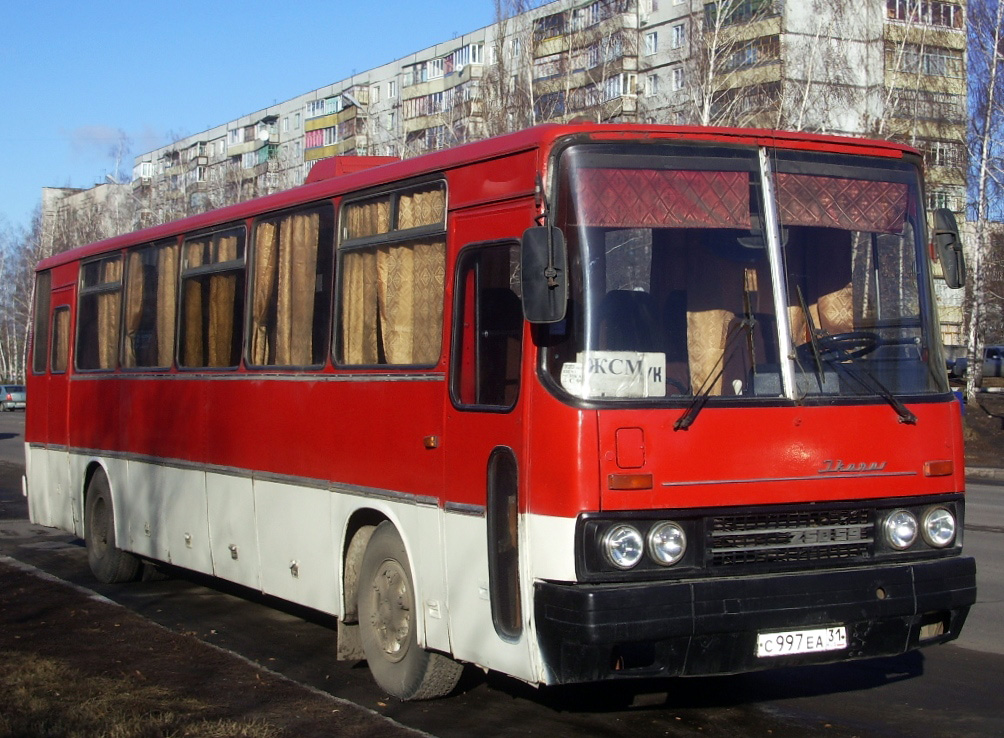 Автобус железногорск белгород. Икарусы Белгород. Автобус с 997. Е386еа 31.