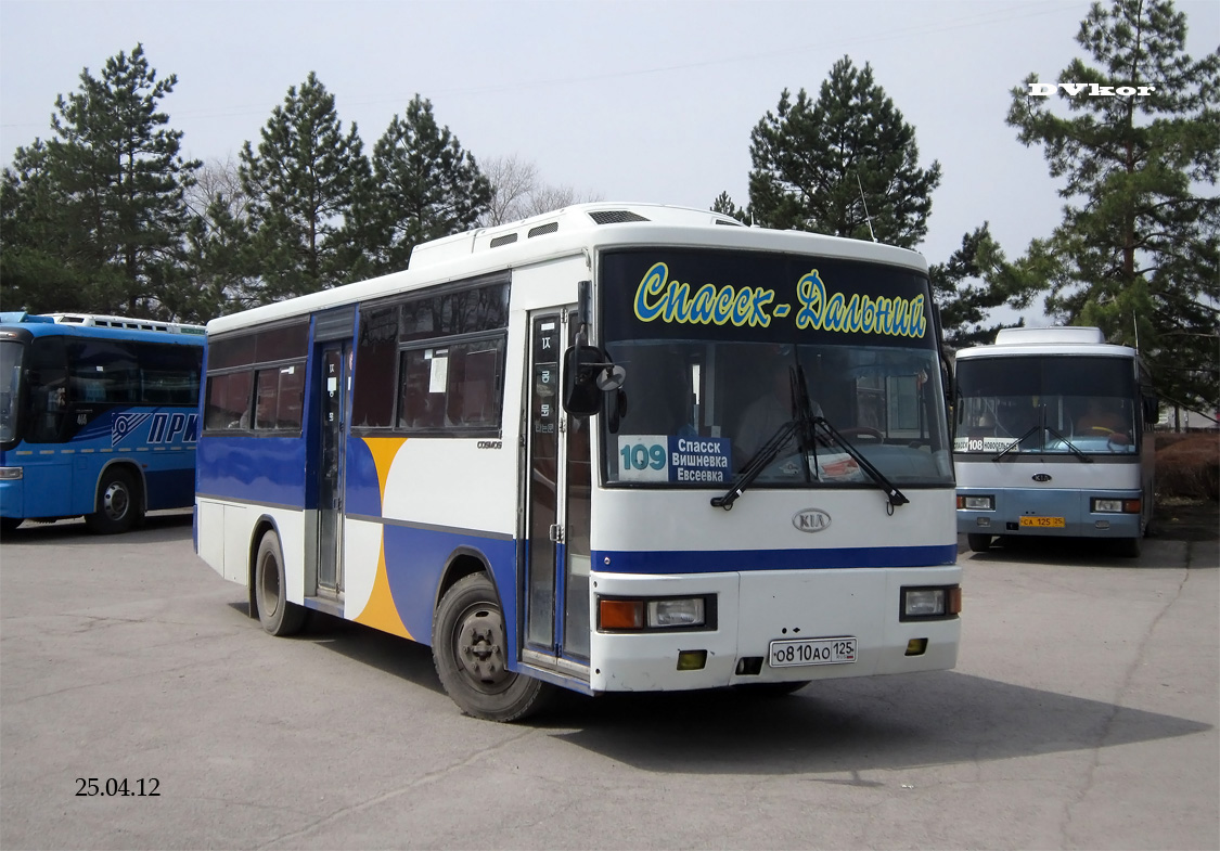 Автобус арсеньев. Автостанция Спасск Дальний. Автобусы Спасск Дальний. Автовокзал Спасск-Дальний Арсеньев. Автоколонна 1951 Спасск-Дальний.