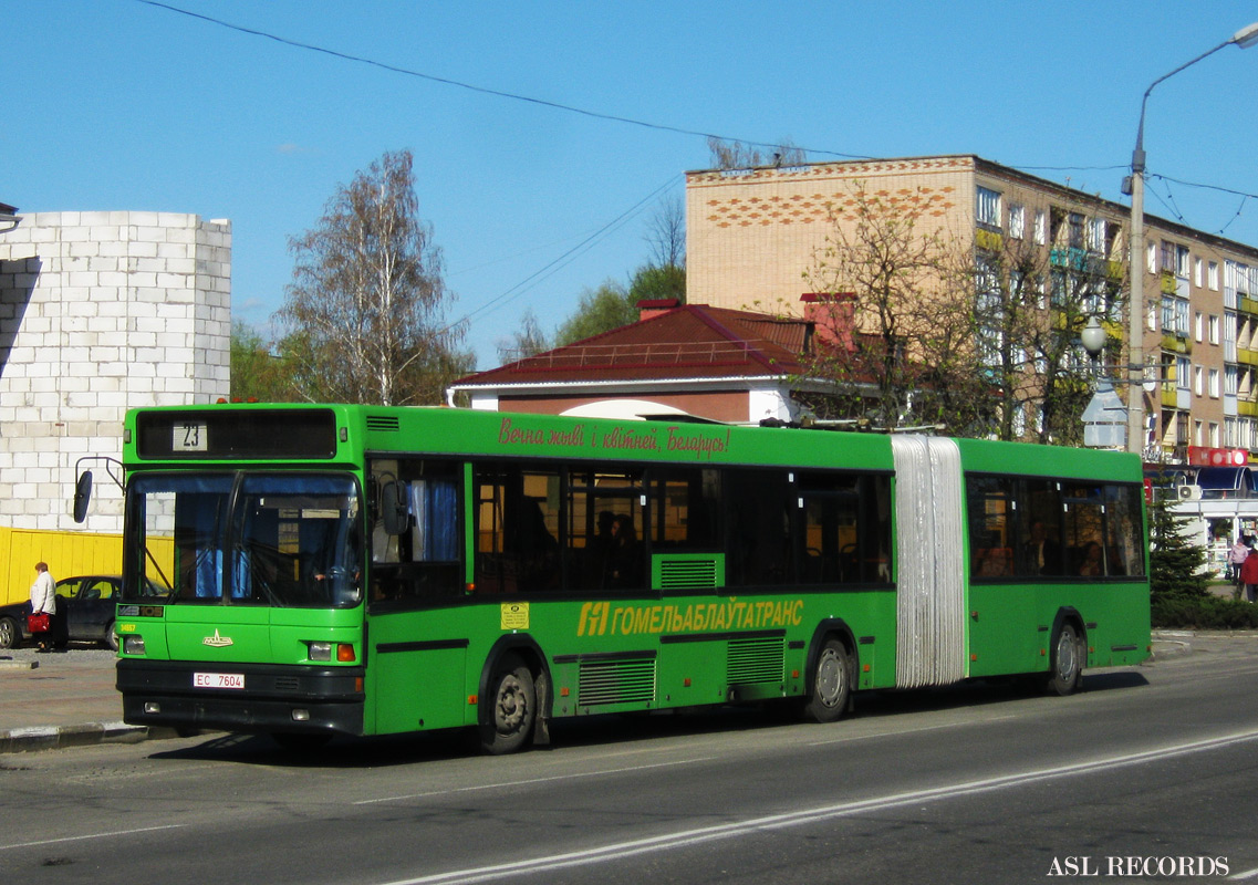 Пригородные автобусы жлобин. МАЗ 105. МАЗ 103 Гомель. Автобус МАЗ 105. МАЗ 215 м69.