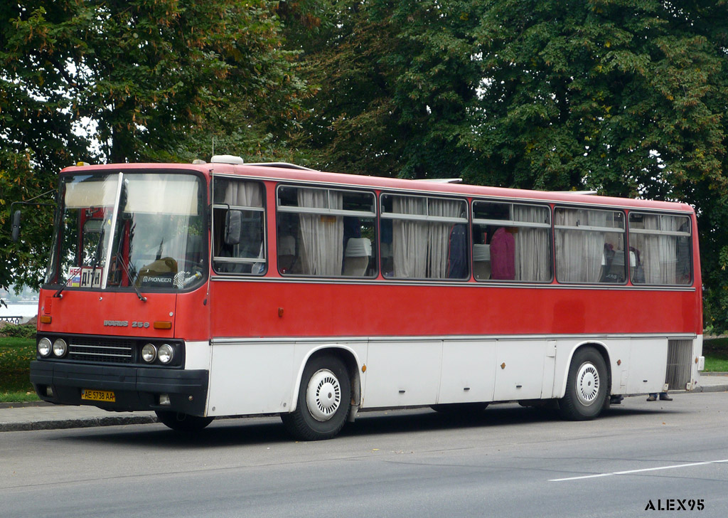 Автобус икарус фото. Ikarus 256. Икарус 256.54. Икарус 256.74. Автобус Икарус 256.