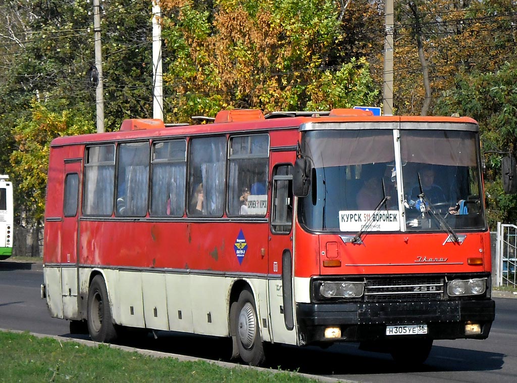 Брянск воронеж автобус автовокзал. Икарус 250 Железногорск. Икарус 250.59 Белгород. Икарус старый Оскол. Икарус 250 Воронеж.