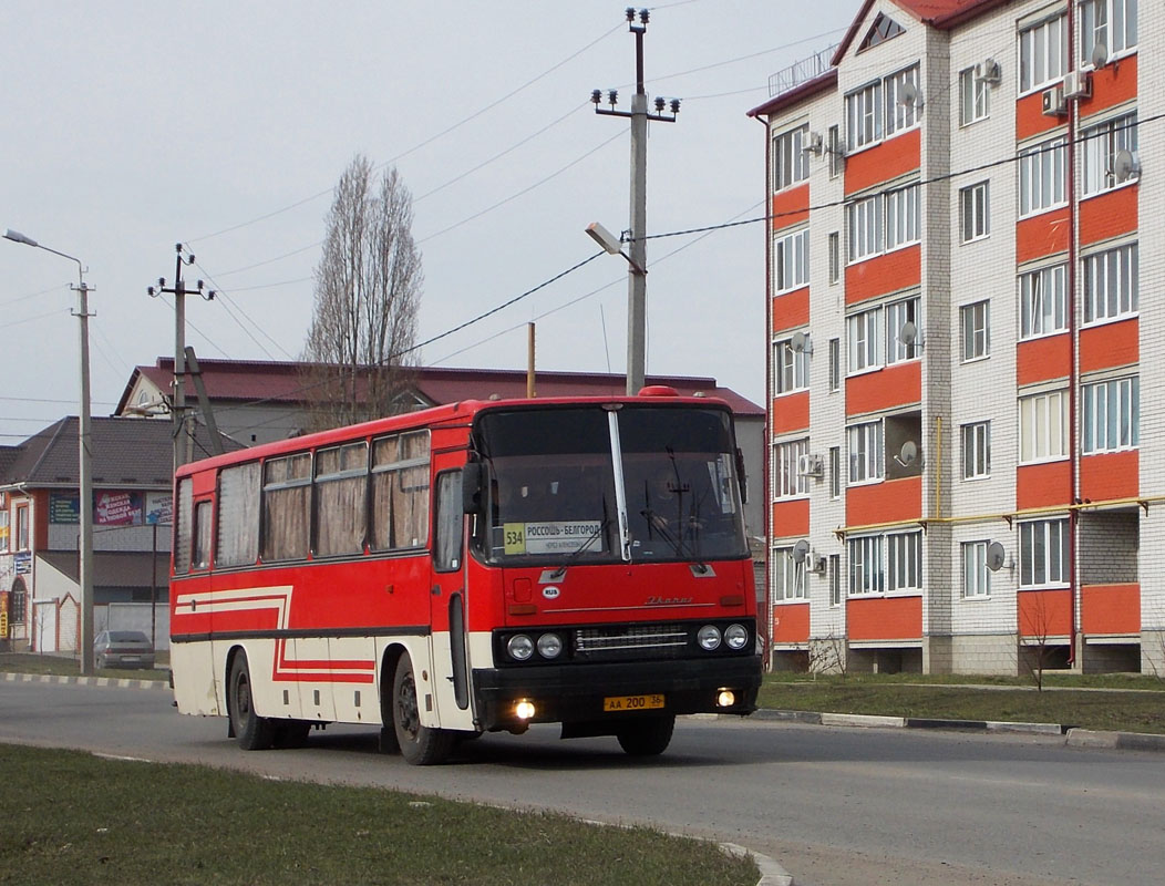 Россошь автовокзал сайт