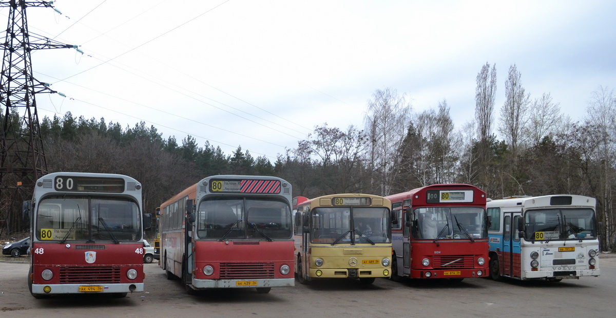 Voronezh region, Aabenraa M75 # АК 494 36; Voronezh region, Aabenraa M75 # АК 439 36; Voronezh region — Bus stations