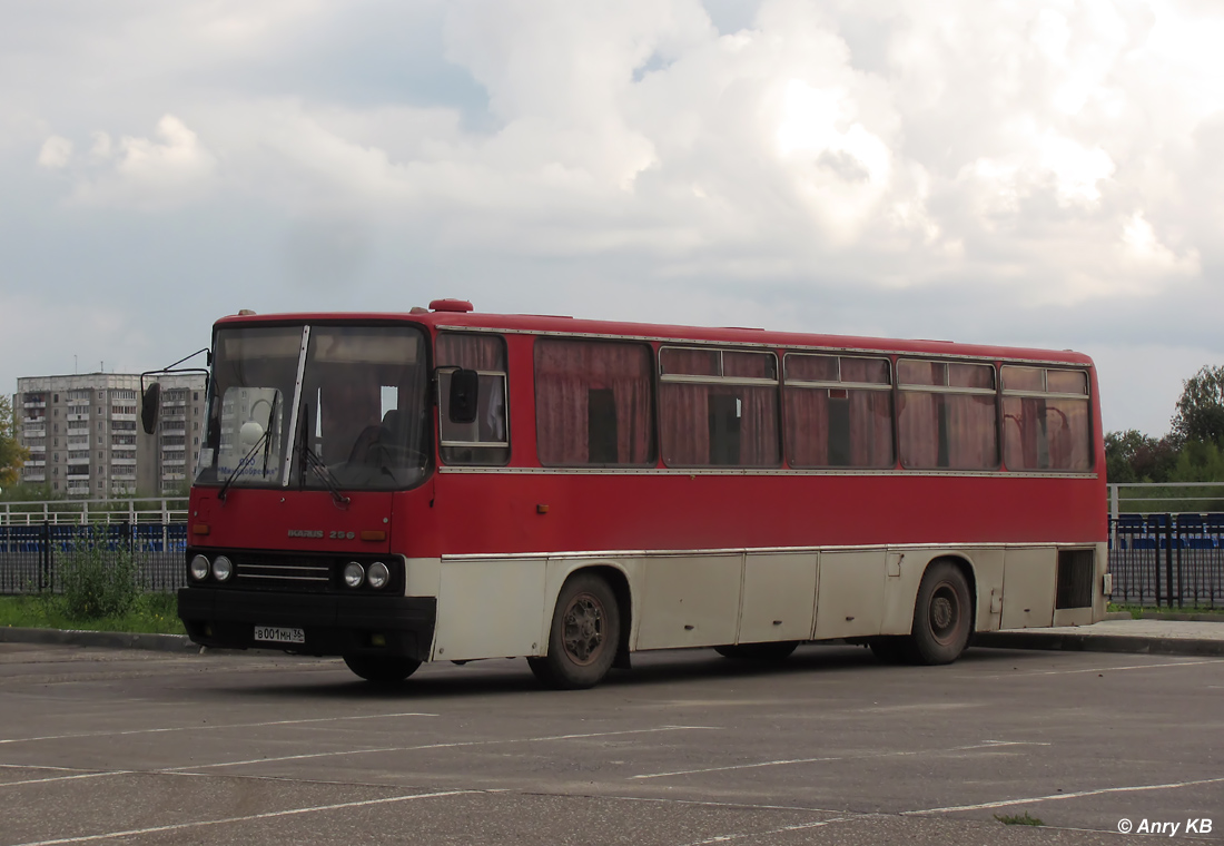 Москва верхний мамон автобус. Икарус 256 Воронеж. Автобус 521 Воронеж верхний Мамон. Автобусы ФОК верхний Мамон. Верхний Мамон Воронеж автобус.