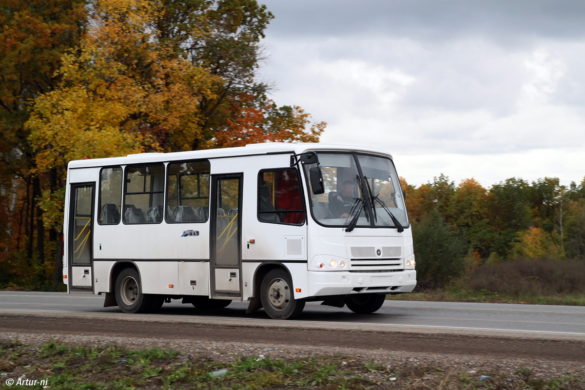 Автобус паз нового образца