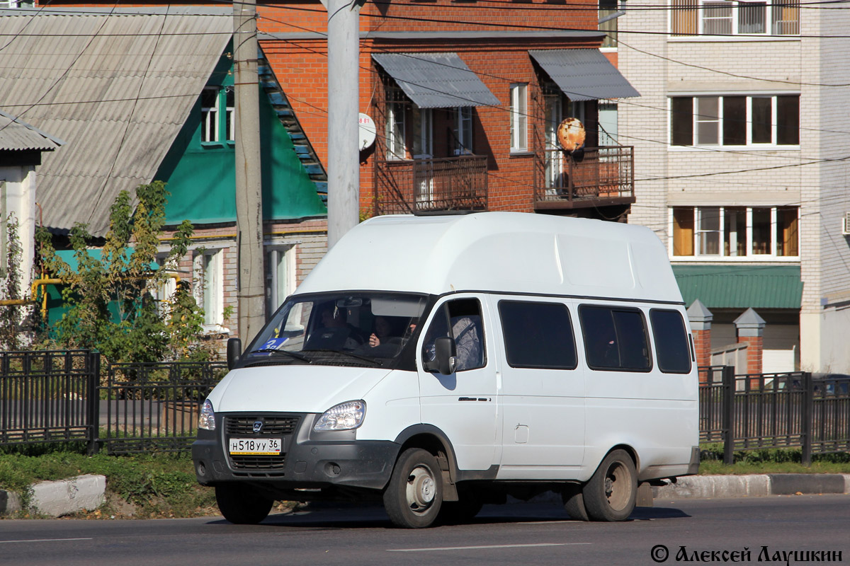 газель луидор фото