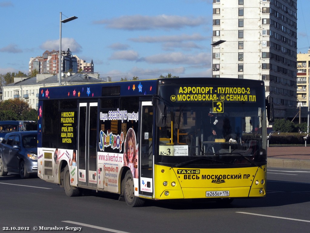 Автобус до пулково от московской. Автобус до Пулково. Автобус до аэропорта Пулково с Московской. Московская Пулково автобус. Автобус в аэропорт Пулково от Московской.