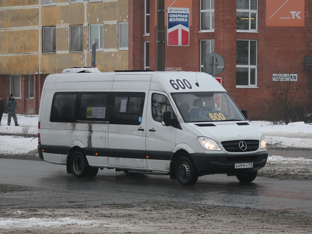 Saint Petersburg, Luidor-22360C (MB Sprinter) # В 491 РУ 178