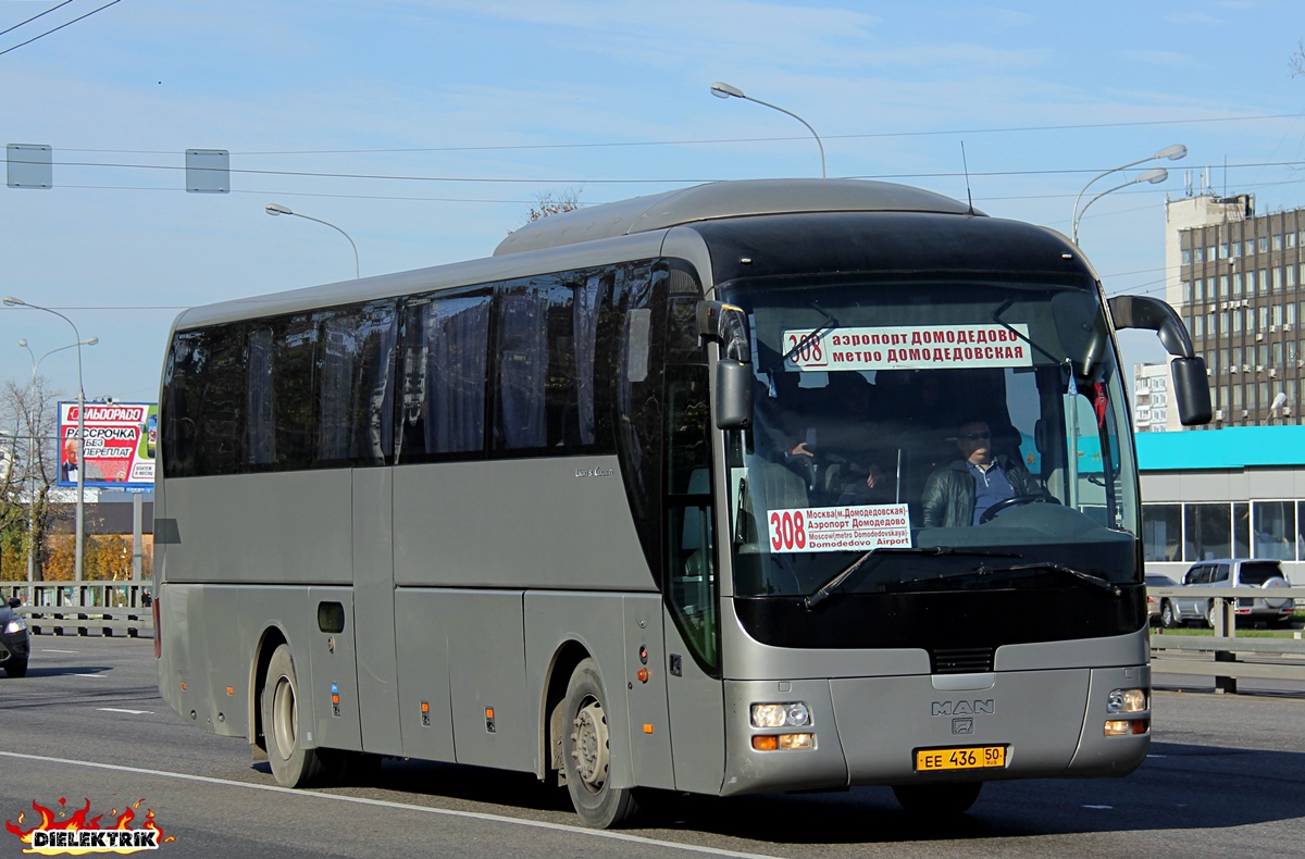 Расписание автобуса 439 домодедовская горки. Man r07. Man a13 Lion's coach. Автобус 439. 439 Маршрутка.