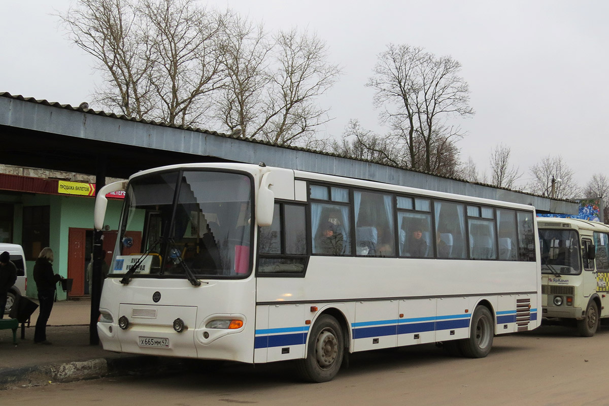 Автобус луга шалово. Автовокзал Луга. Лужский Автобусный вокзал. Автобус Луга-Наволок. Луга Заянье автобус.