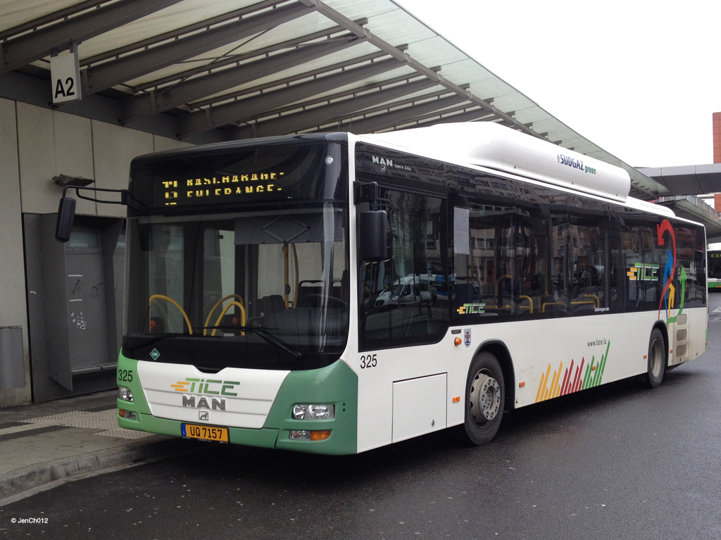 Luxembourg, MAN A21 Lion's City NL313 CNG # 325