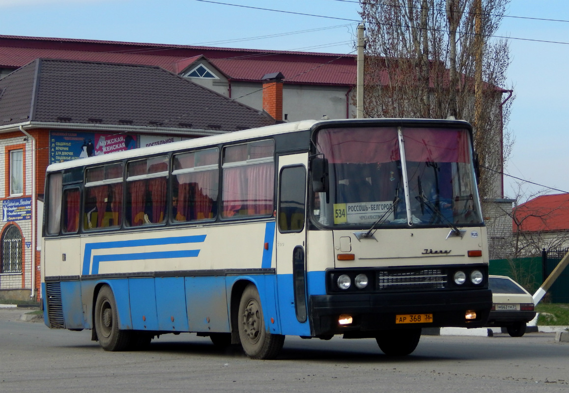 Автобус россошь белгород. Белгород Россошь автобусы. Белгород Воронеж автобус.