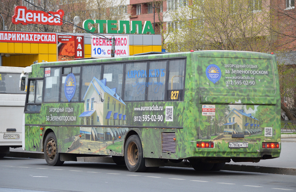 Автобус каменка санкт. Маршрутка 827. 827 Автобус СПБ. Проспект Просвещения 827 маршрутка.