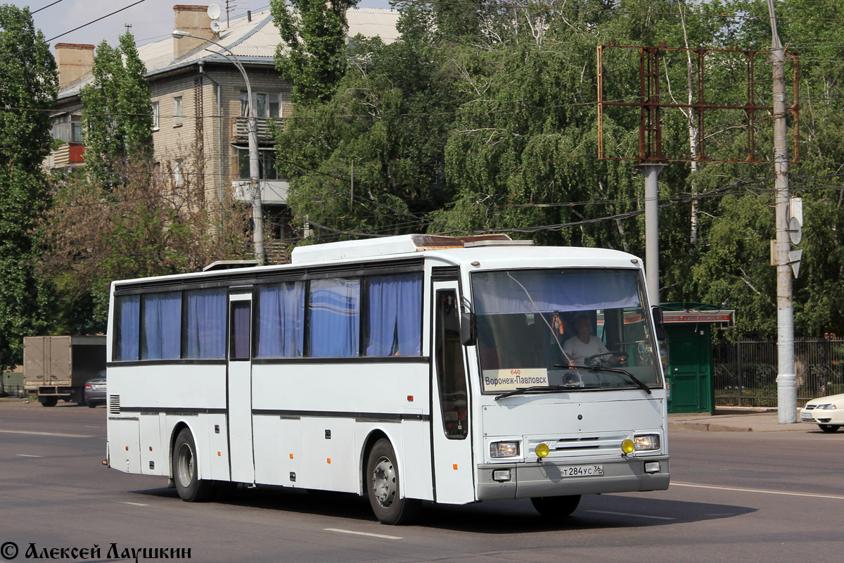 Автобусы воронеж павловск сегодня. Там 260 т17. Автобус там. Павловск Воронеж автобус. Маршрутки Павловск Воронеж.