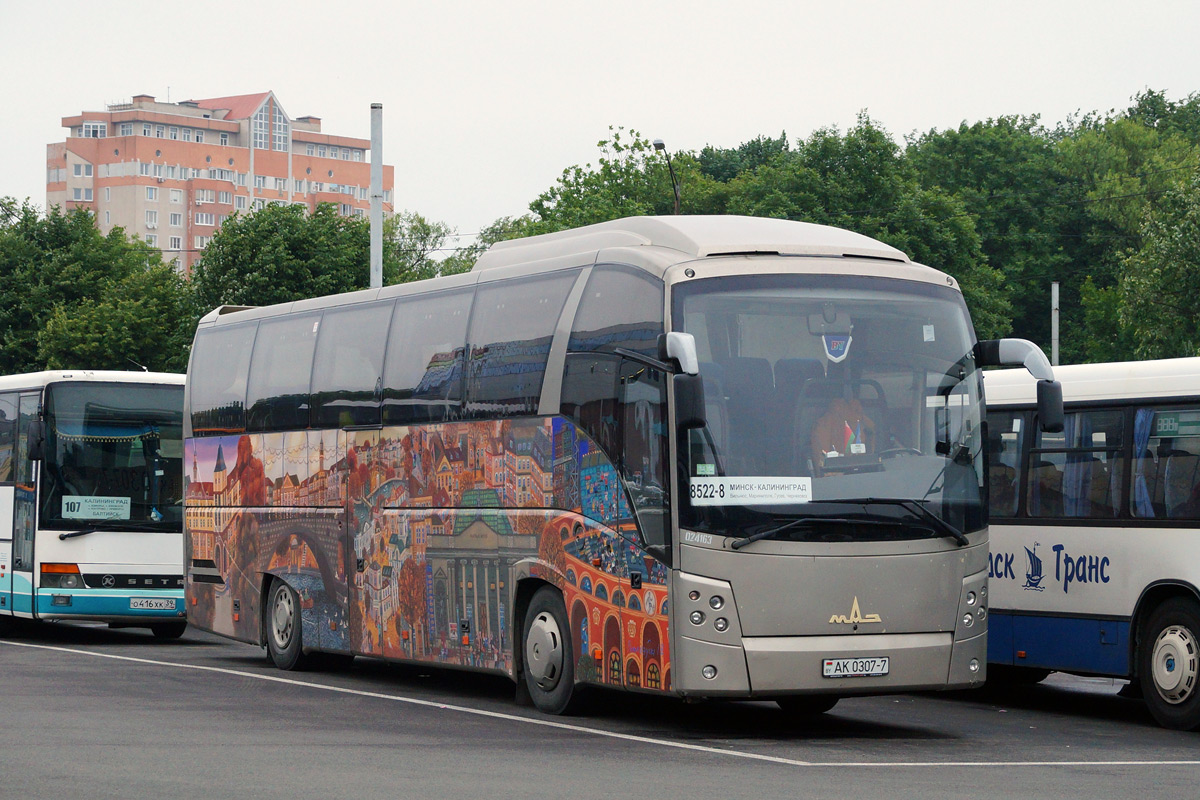 Минская калининград. МАЗ 251. МАЗ-251 автобус. Калининград Минск автобус.