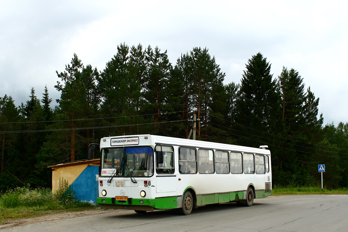 Автобус соликамск пермь. Автобус Соликамск Половодово. Автобус Соликамск Половодово 36. Соликамск Половодово 36. Автостанция Нытва Пермский край.