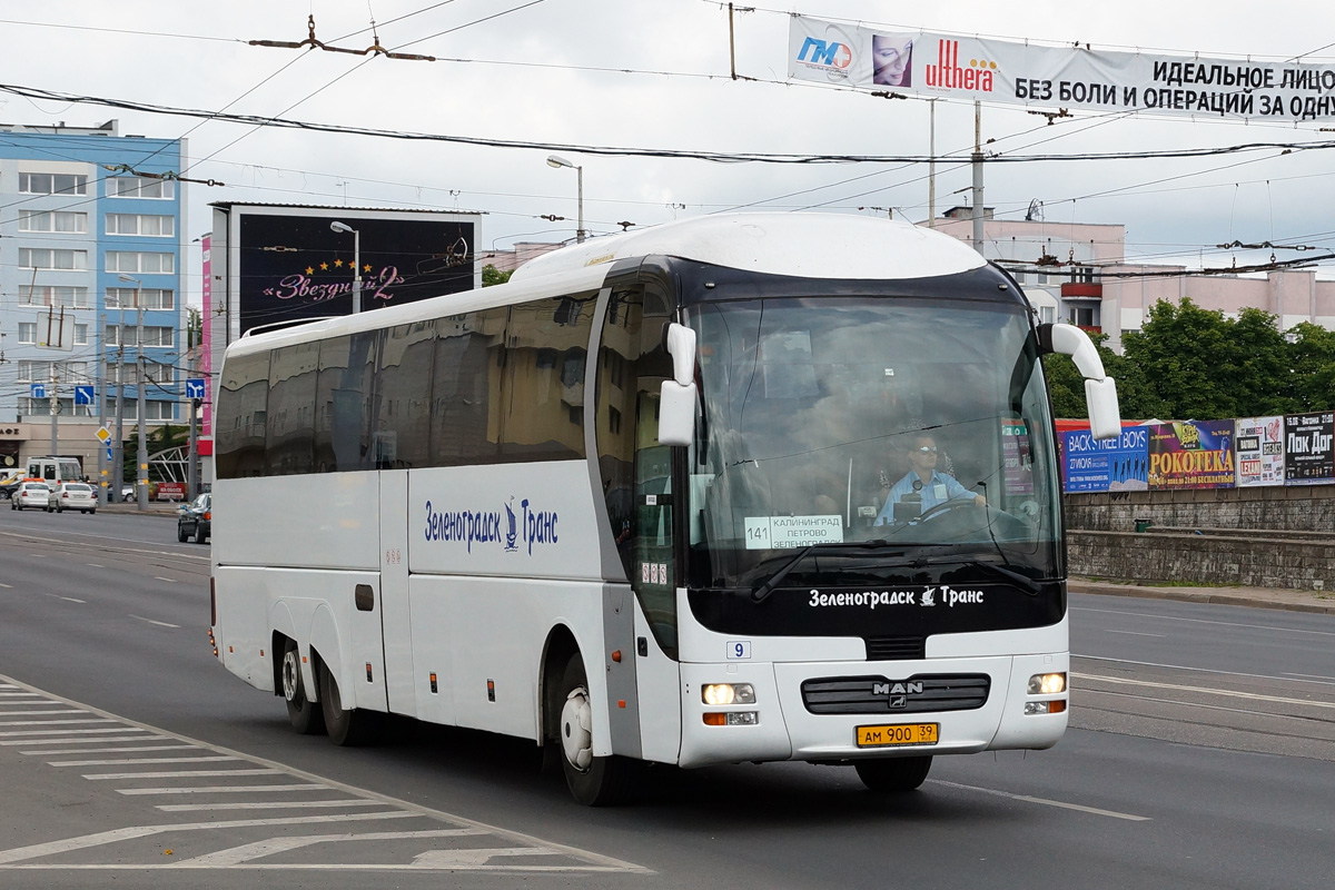 Зеленоградск транс. Man r08 Fortuna Mega rhc464. Зеленоградск-транс Калининград. ООО Зеленоградск транс Калининград. Калининград автобус Зеленоградск-транс.