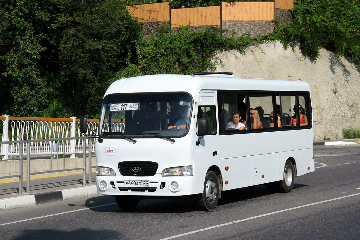 Адлерский автобус. Hyundai County 2021. Hyundai County 1998. Хендай Каунти автобус Сочи. Хендай Каунти 2008.