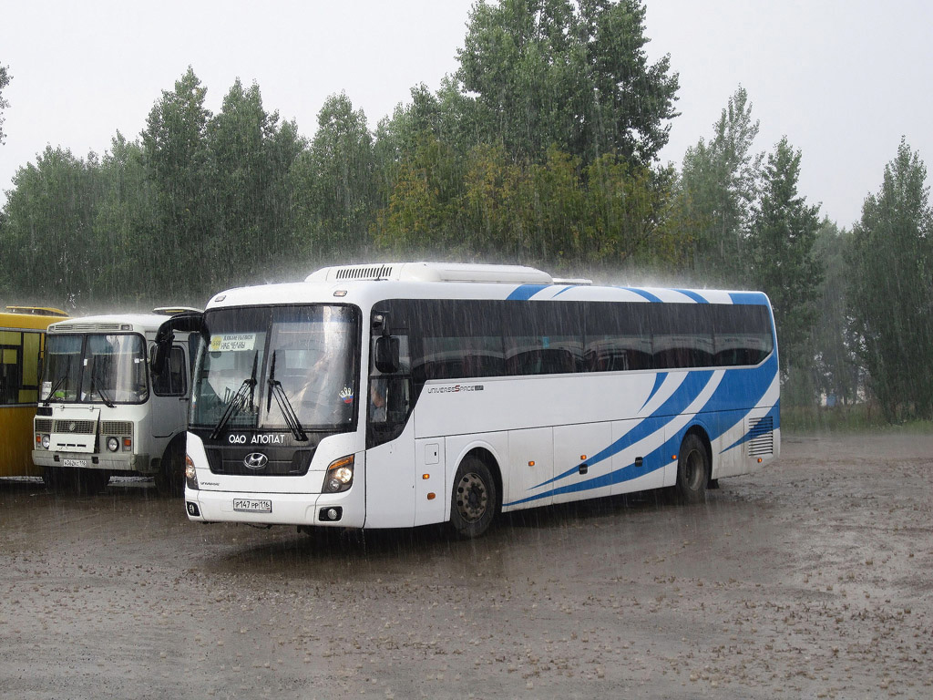 Автобус 420 б. НЕФАЗ р297рр 116. Hyundai (43), р115рр116 • ООО "Казанское ПАТП-1". Сестра 420 автобус.