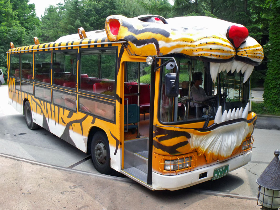 Транспорт какой до зоопарка. Автобус зоопарк. Проект автобус зоопарк. Контактный зоопарк в автобусе. Машины передвижного зоопарка.