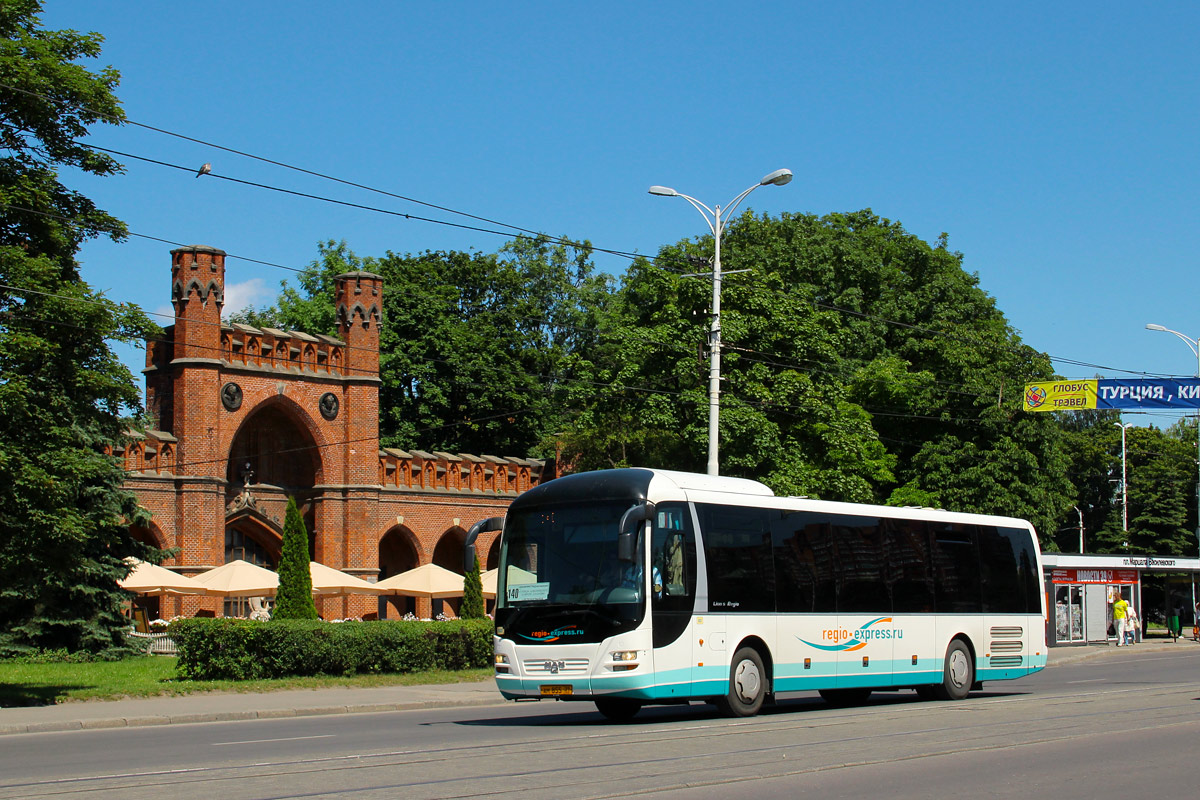 Автобусы в калининграде фото