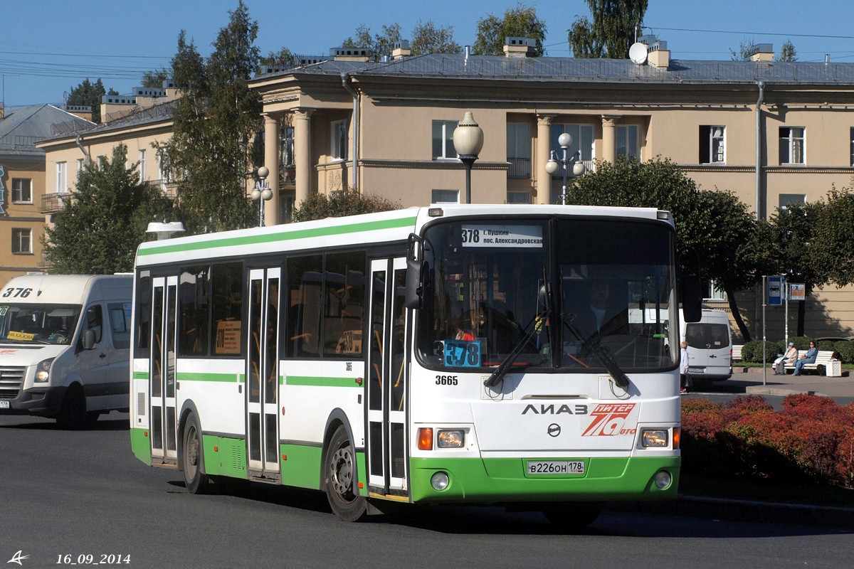 Автобусы пушкин спб маршруты. 378 Автобус. Автобус Пушкин. 378 Автобус Пушкин. Автобус 378 Москва.